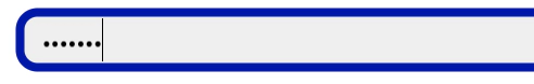 Native Input password
